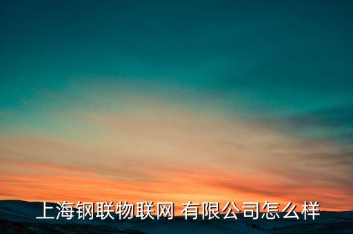 上海钢富电子商务有限公司 地址,上海比钢电子商务有限公司