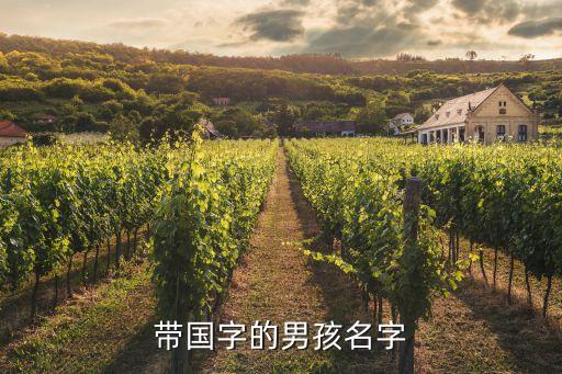 带国字的男孩名字