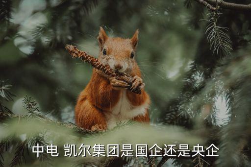中电 凯尔集团是国企还是央企