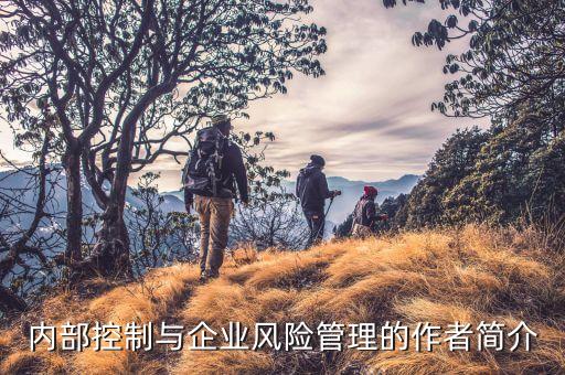深圳迪博有限公司,迪博企业风险管理技术有限公司