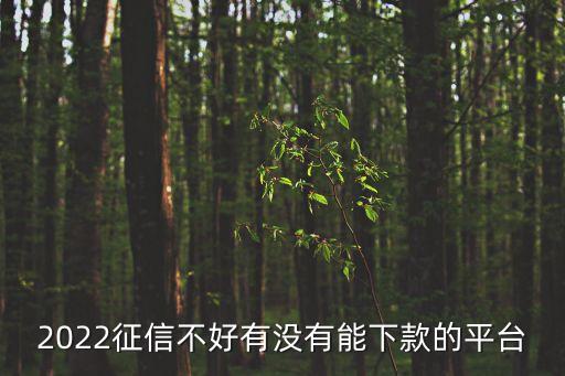 连平县银信小额贷款有限公司