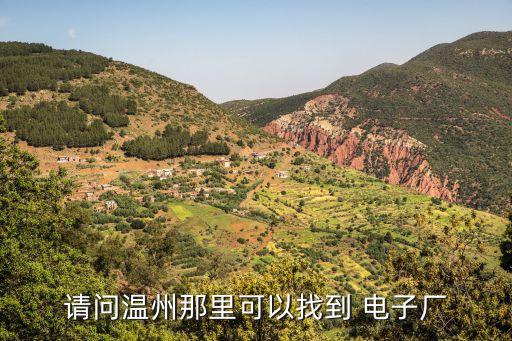 请问温州那里可以找到 电子厂