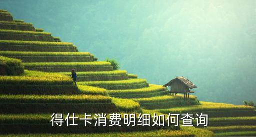  得仕卡消费明细如何查询