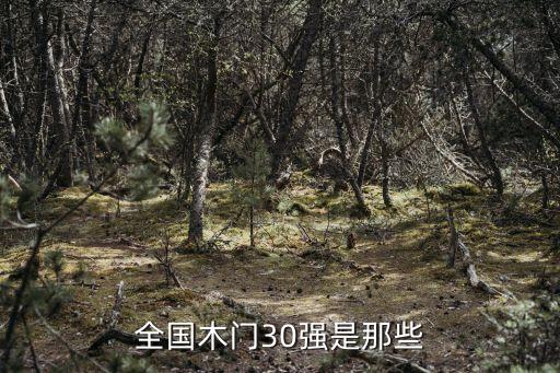 全国木门30强是那些