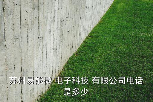 敏敏电子有限公司,联合电子汽车有限公司
