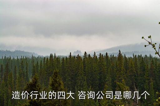 中竞发工程造价咨询有限公司