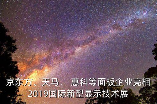 京东方、天马、 惠科等面板企业亮相2019国际新型显示技术展