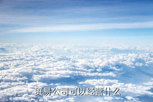  贸易公司可以经营什么