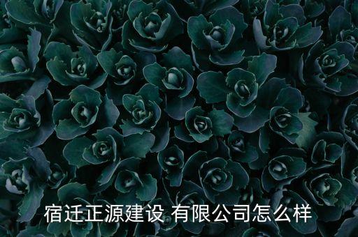 宿迁正源建设 有限公司怎么样
