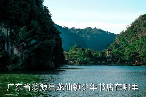 广东省翁源县龙仙镇少年书店在哪里