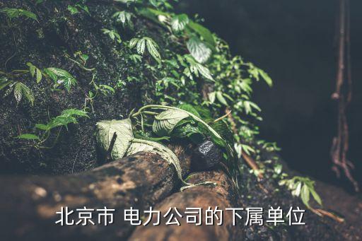 北京市 电力公司的下属单位