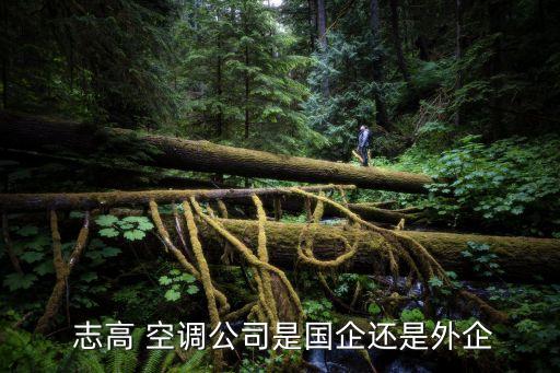  志高 空调公司是国企还是外企