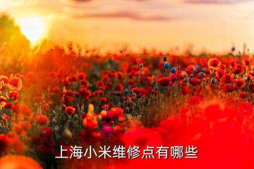 上海小米维修点有哪些