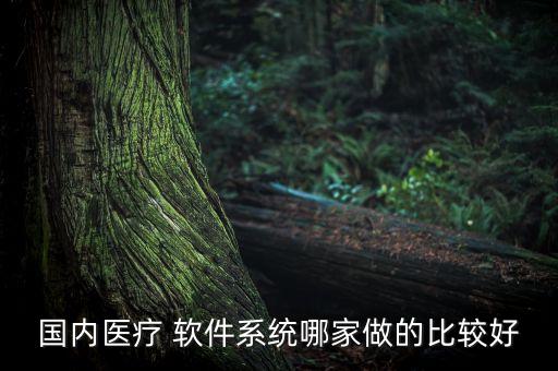国内医疗 软件系统哪家做的比较好