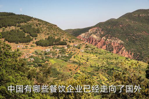 上海弘新食品有限公司,上海良新食品有限公司怎么样