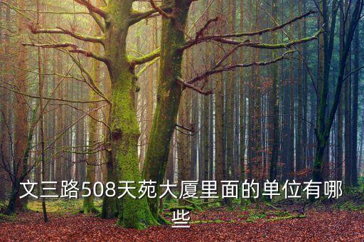 文三路508天苑大厦里面的单位有哪些