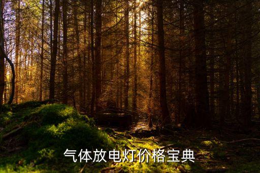 气体放电灯价格宝典