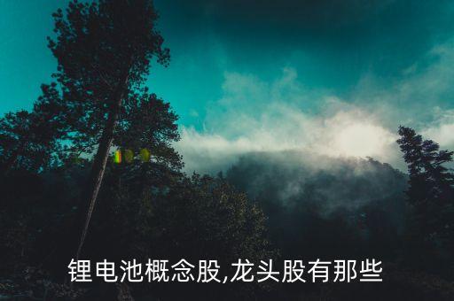 锂电池概念股,龙头股有那些