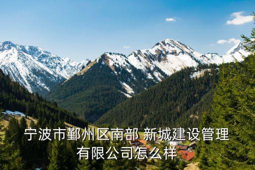 宁波新城服务投资有限公司,宁波东部新城开发投资集团有限公司