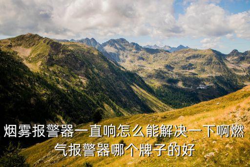 烟雾报警器一直响怎么能解决一下啊燃气报警器哪个牌子的好