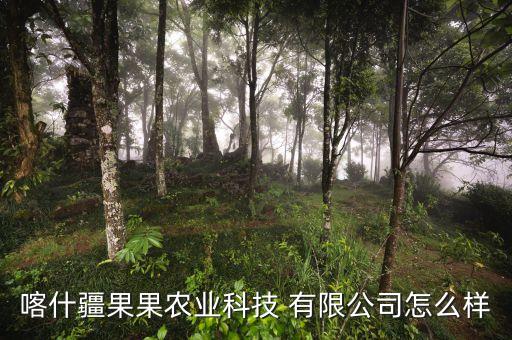喀什疆果果农业科技 有限公司怎么样