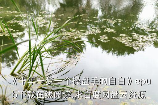 《十年一梦一个操盘手的自白》epub下载在线阅读,求百度网盘云资源