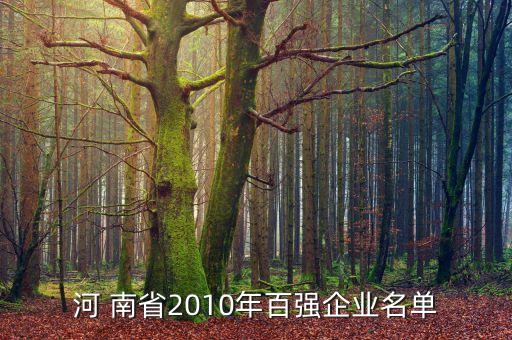 河 南省2010年百强企业名单