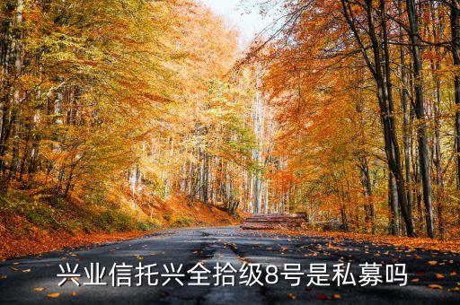  兴业信托兴全拾级8号是私募吗