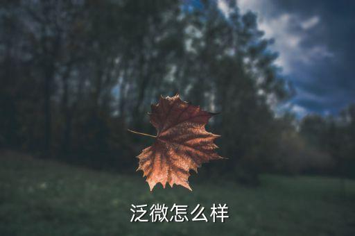 泛微网络科技股份有限公司,上海泛微网络科技股份有限公司是外包吗