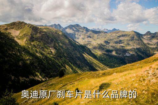 奥迪原厂刹车片是什么品牌的