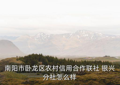 南阳市卧龙区农村信用合作联社 银兴分社怎么样