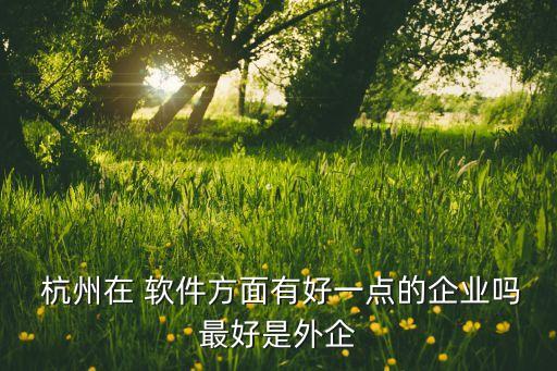  杭州在 软件方面有好一点的企业吗最好是外企