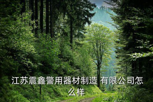  江苏震鑫警用器材制造 有限公司怎么样
