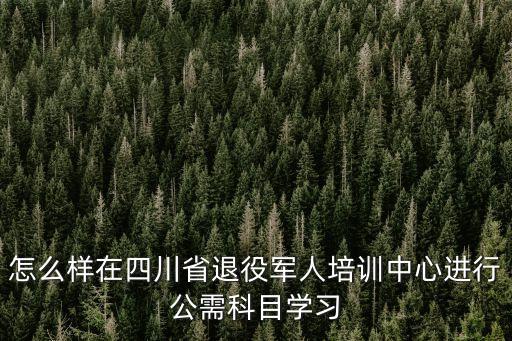 怎么样在四川省退役军人培训中心进行公需科目学习