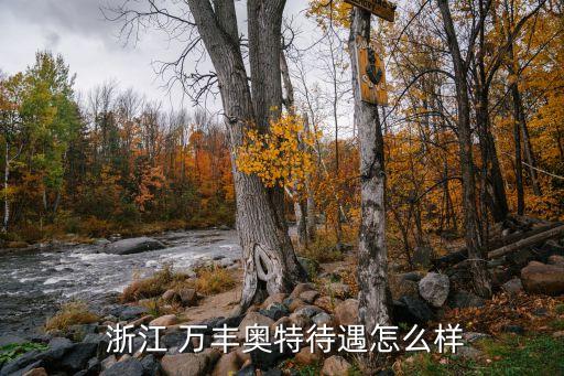  浙江 万丰奥特待遇怎么样