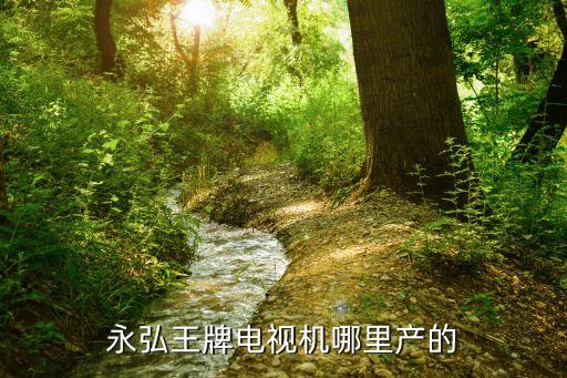 永弘王牌电视机哪里产的