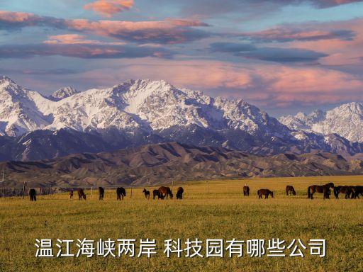 温江海峡两岸 科技园有哪些公司