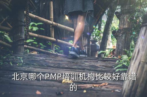  北京哪个PMP培训机构比较好靠谱的