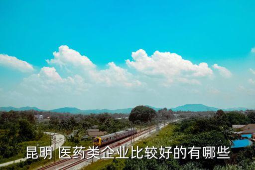 昆明 医药类企业比较好的有哪些