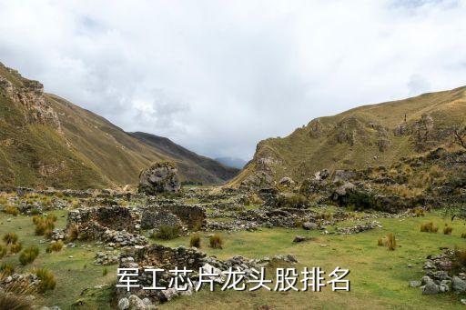 军工芯片龙头股排名