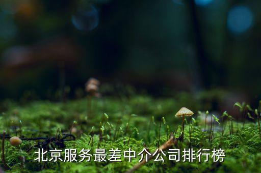 北京服务最差中介公司排行榜