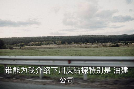 谁能为我介绍下川庆钻探特别是 油建公司