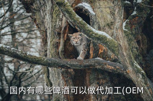 国内有哪些啤酒可以做代加工(OEM
