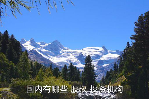 国内有哪些 股权 投资机构