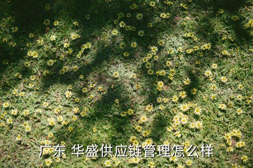 广东 华盛供应链管理怎么样