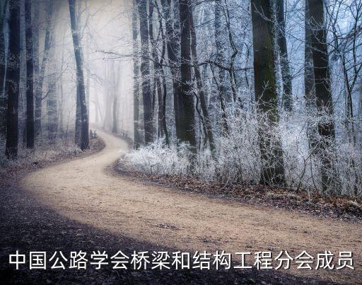 中国公路学会桥梁和结构工程分会成员