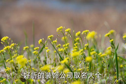 好听的装饰公司取名大全