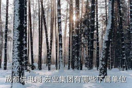 成都供电局 宏业集团有哪些下属单位