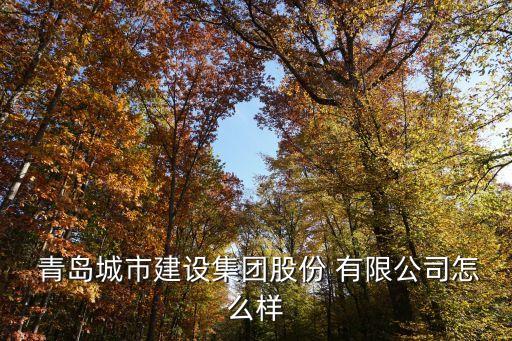 青岛大通建设工程有限公司怎么样