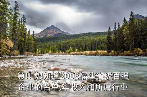 急!!!想知道2008福建省级百强企业的名单,年收入和所属行业